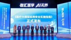 补我国医疗大模子平安使用尺度空白